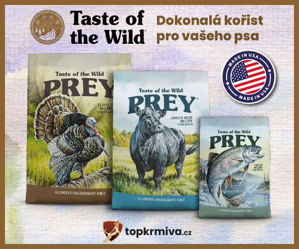 Reklama